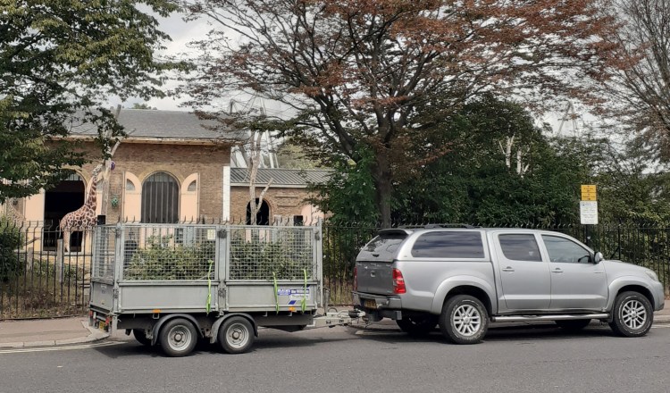 Sustainable woodland management for zoo animal&nbsp;feed